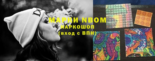 гашик Алексеевка