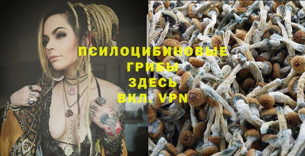 круглые Алексин