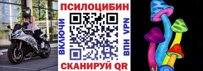 продажа наркотиков  Петровск-Забайкальский  Псилоцибиновые грибы ЛСД 