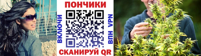 где купить Петровск-Забайкальский Бошки Шишки планчик